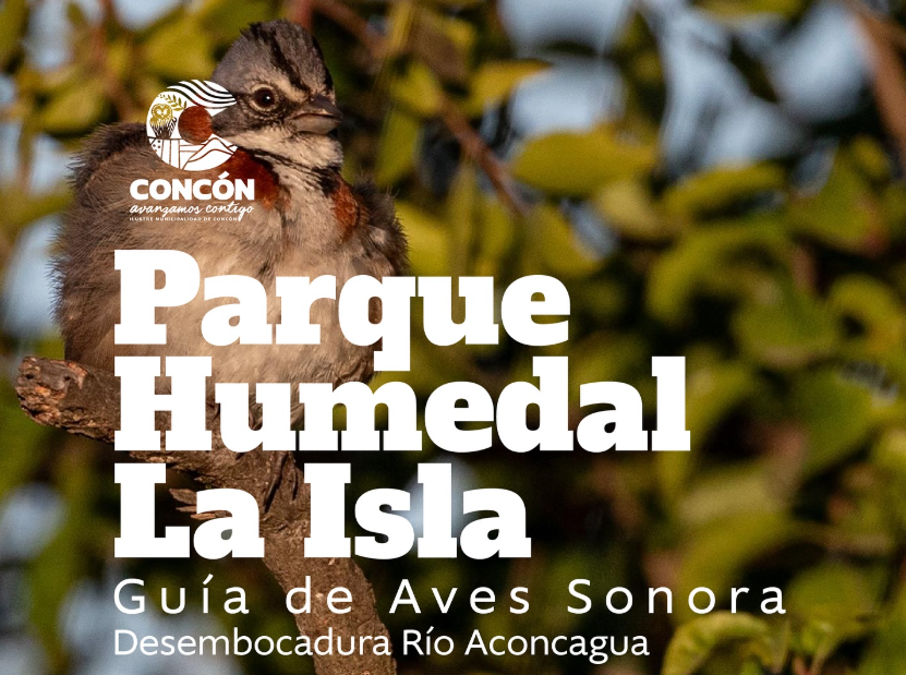 Album Sonoro de Aves